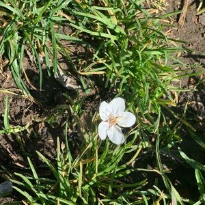 Meet your Posher, Crystal